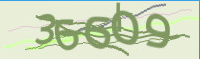 captcha.png