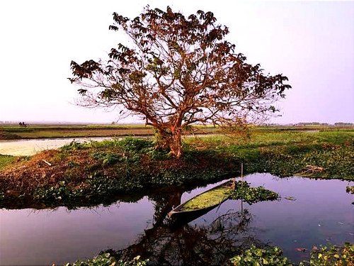 IMG 20240713 140057.jpg