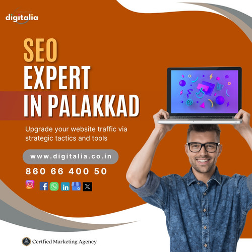 SEO Expert in Palakkad2.jpg