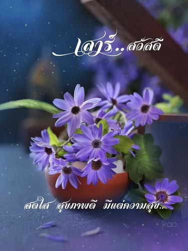 สวัสดีวันศุกร์ ดอกไม้10 1.jpg