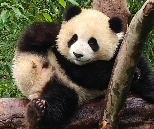 IMG 20240713 162046.jpg