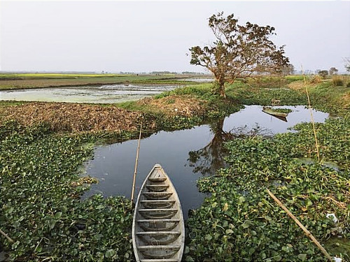 IMG 20240713 142308.jpg