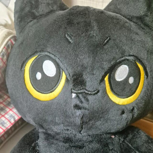 image.jpg