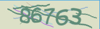 captcha.png