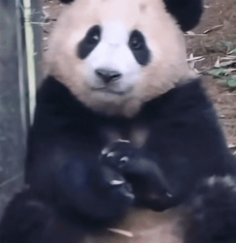 CAE4115B 0CF4 499B B7DF 97721CEDEA77.gif