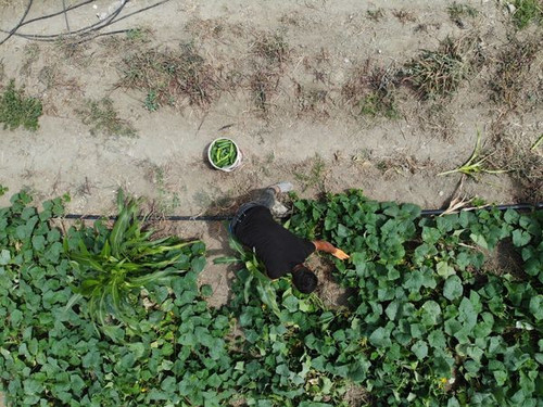 450565702 878253597662527 2339578474981815477 n.jpg?stp=dst jpg s600x600& nc cat=107&ccb=1 7& nc sid.jpg