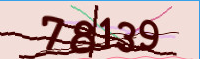captcha.png