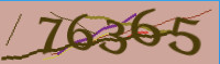 captcha.png