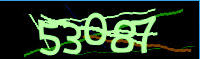 captcha.png