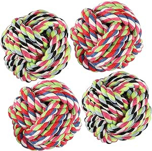 81no2mmm4YL. AC SX300 SY300 QL70 ML2 .jpg