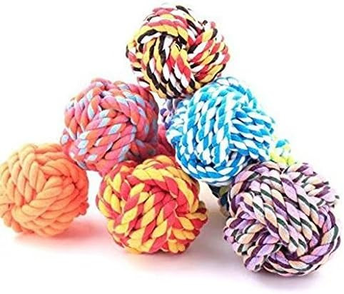 51y6QXT1e3L. AC .jpg