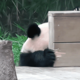 9B631075 F2C6 4D6C 8DE9 03EF176DE673.gif