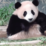 6718256F C7A8 484A BAC0 EA2FA1BB2C56.gif