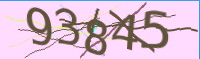 captcha.png