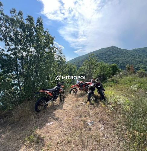 450896903 898546895621397 7687056881340088421 n.jpg?stp=dst jpg s600x600& nc cat=105&ccb=1 7& nc sid.jpg