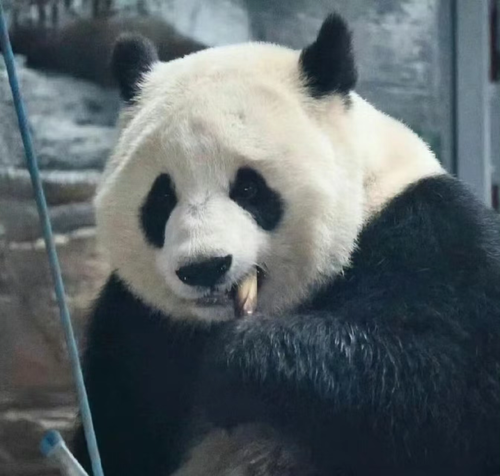 image 1720792530249.png