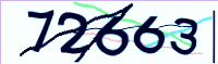 captcha.png