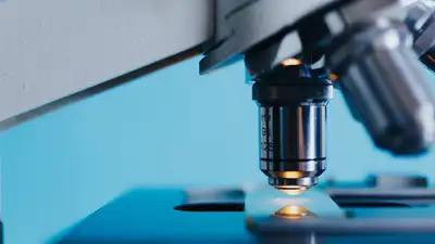 EJuqiDVBBHoQjmBTw GzZvE5t9jSyPOVpZo 2OnqqYu2fcLn7i 15EuIesXcEw3AJzyA1vHW8FTDZixq2yXNVXLROXOTB3 H3eI6.jpg