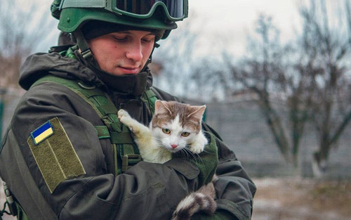 450537709 510288188237697 5412321960194836371 n.jpg?stp=dst jpg p843x403& nc cat=102&ccb=1 7& nc sid.jpg