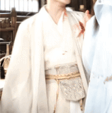 IMG 8261.gif