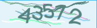 captcha.png
