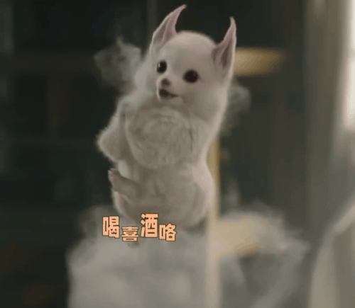 img 1721014730937006V1UZhgy1hrokchhf4tg30yi0u0u1d.gif