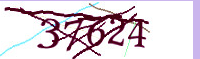 captcha.png
