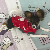 bundledup (1)