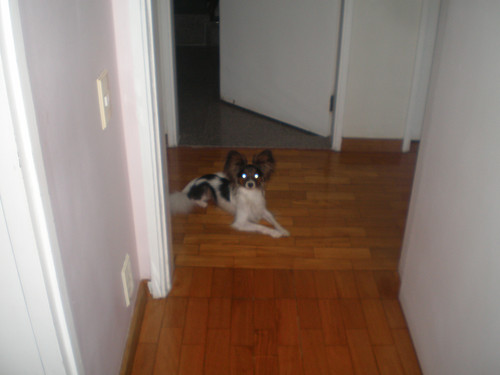 OLYMPUS DIGITAL CAMERA.jpg