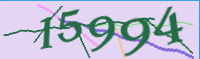 captcha.png