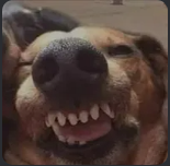 bd60a7f9e021.png