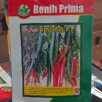 b8a845723372.png