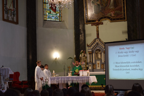 DSC 0358.jpg