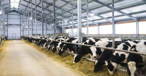 14347881290450258918?url=https%3A%2F%2Fungarnheute.hu%2Fwp content%2Fuploads%2F2024%2F07%2F322550297.jpg