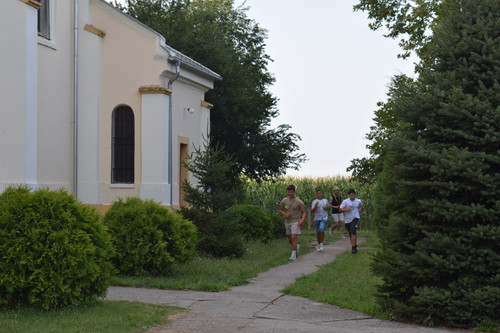 DSC 0212.jpg