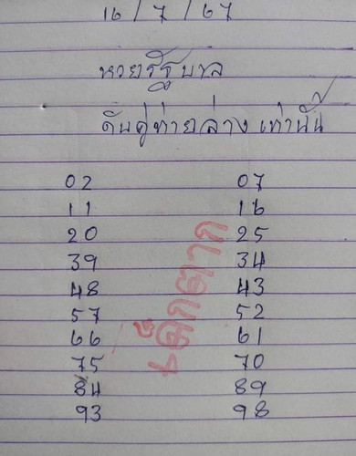 451020858 3726585677597445 8059407986539178993 n.jpg