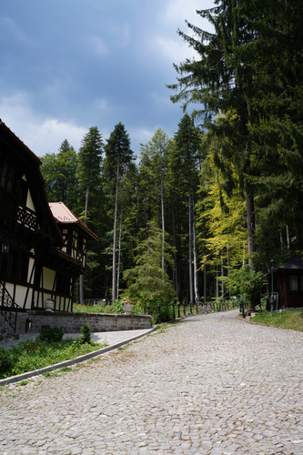 DSC05904.jpg