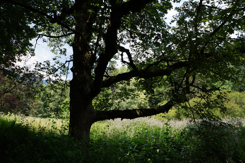 DSC05889.jpg