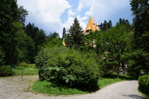 DSC05902.jpg