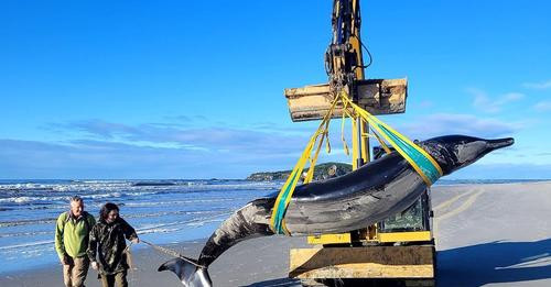 451546176 521843520301936 3609962772483445736 n.jpg?stp=c0.5x0.5f dst jpg flffffff p500x261 q75& nc .jpg