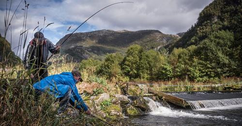 3262455270980640665?url=https%3A%2F%2Fcdn.prod.www.spiegel.de%2Fimages%2Ffd505d07 31fb 464e 9f02 167.jpg