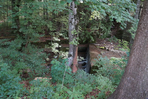 DSC05970.jpg