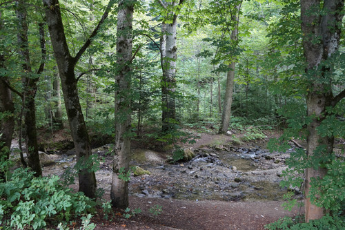 DSC05972.jpg