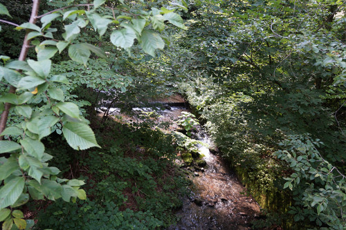 DSC05973.jpg