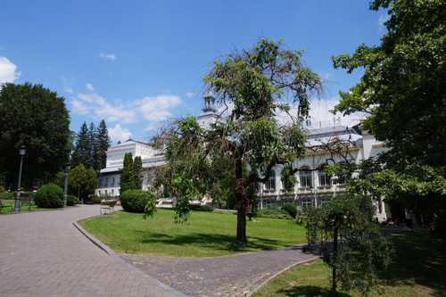 DSC05858.jpg