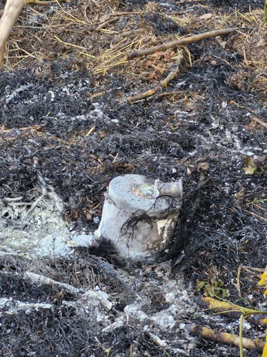 RcKw9N9i0rQAe 6WdE8Z2OPzTwJWw1SJvbmZIuq vjE2lDMscbTXHdqwGYAdpeLAgTiDmYXS2Yr8brPvbMgO478BysYt6EpRwE8x.jpg