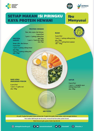 Poster Isi Piringku Ibu Menyusui .jpg