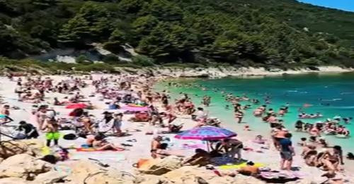 4168163553516440934?url=https%3A%2F%2Frtsh24.s3.eu central 1.amazonaws.com%2F2024%2F07%2F80154b143a3.jpg