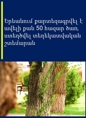 451336815 918715340295797 6367303172063933272 n.jpg? nc cat=100&ccb=1 7& nc sid=127cfc& nc ohc=8Cp3p.jpg