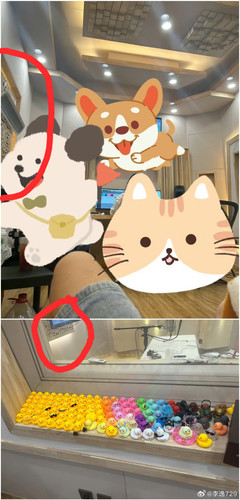 IMG 20240716 154248.jpg